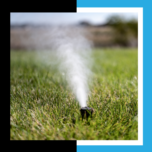 a sprinkler is spraying water on a lush green lawn .