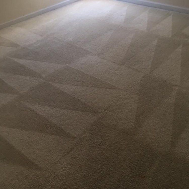 Brown carpet on room