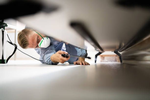 Pest control exterminator spraying cockroach insecticide.