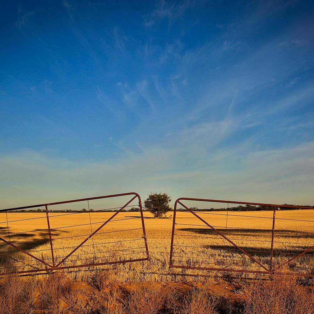 Couple On Farm — Magill, SA — Agricultural Bureau