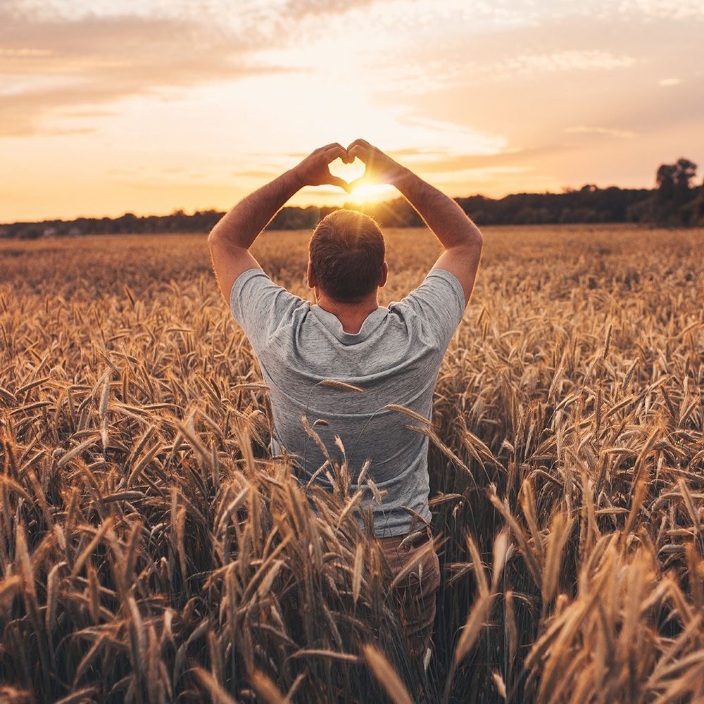 Man On Sunset Hearting — Magill, SA — Agricultural Bureau