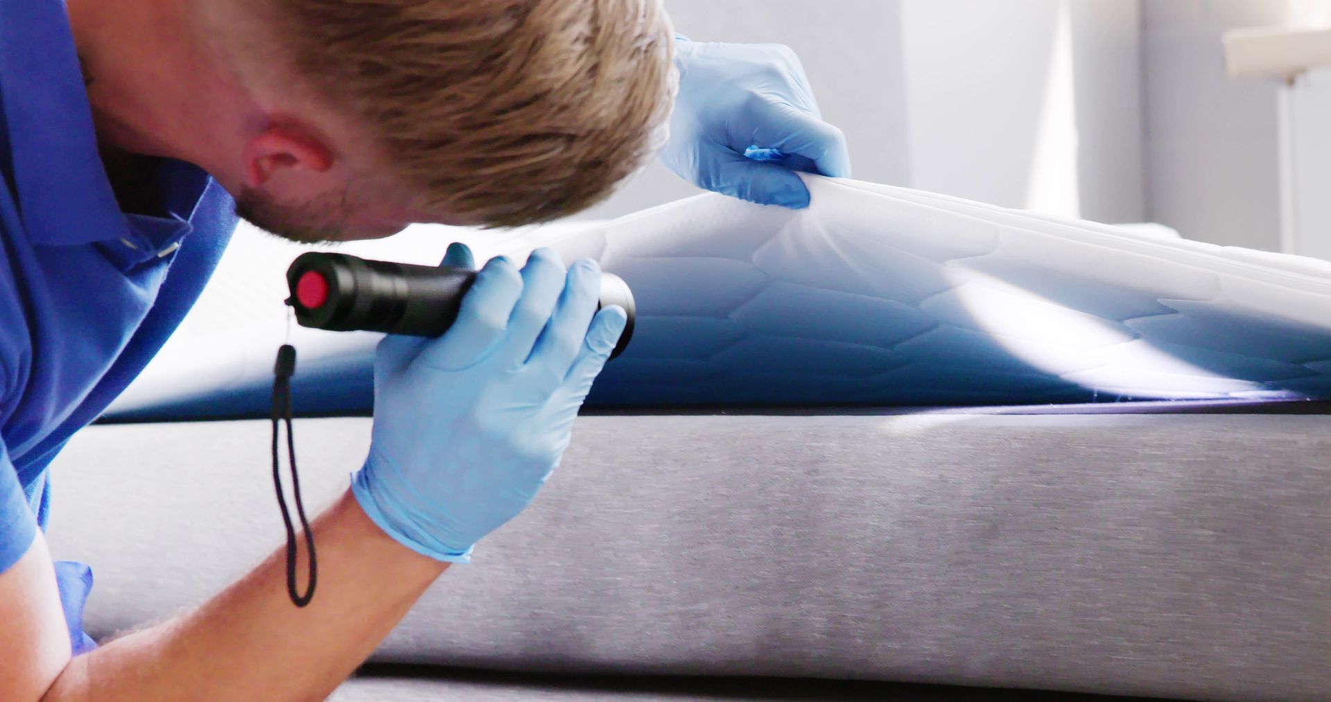 Bed bug responsibility in Minnesota rentals