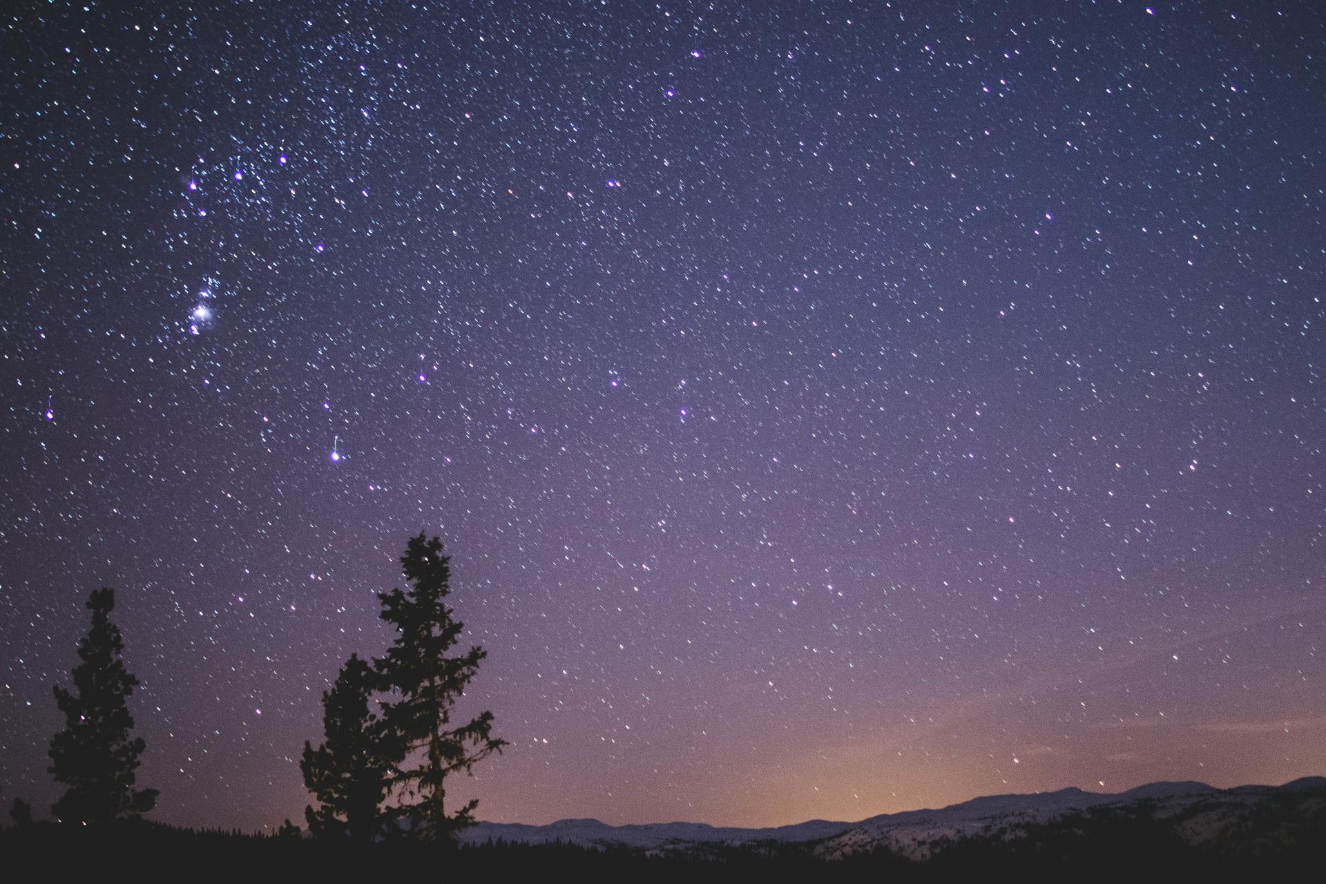 Starry night sky over Sedona with trees in the foreground near Dreamcatcher Inn