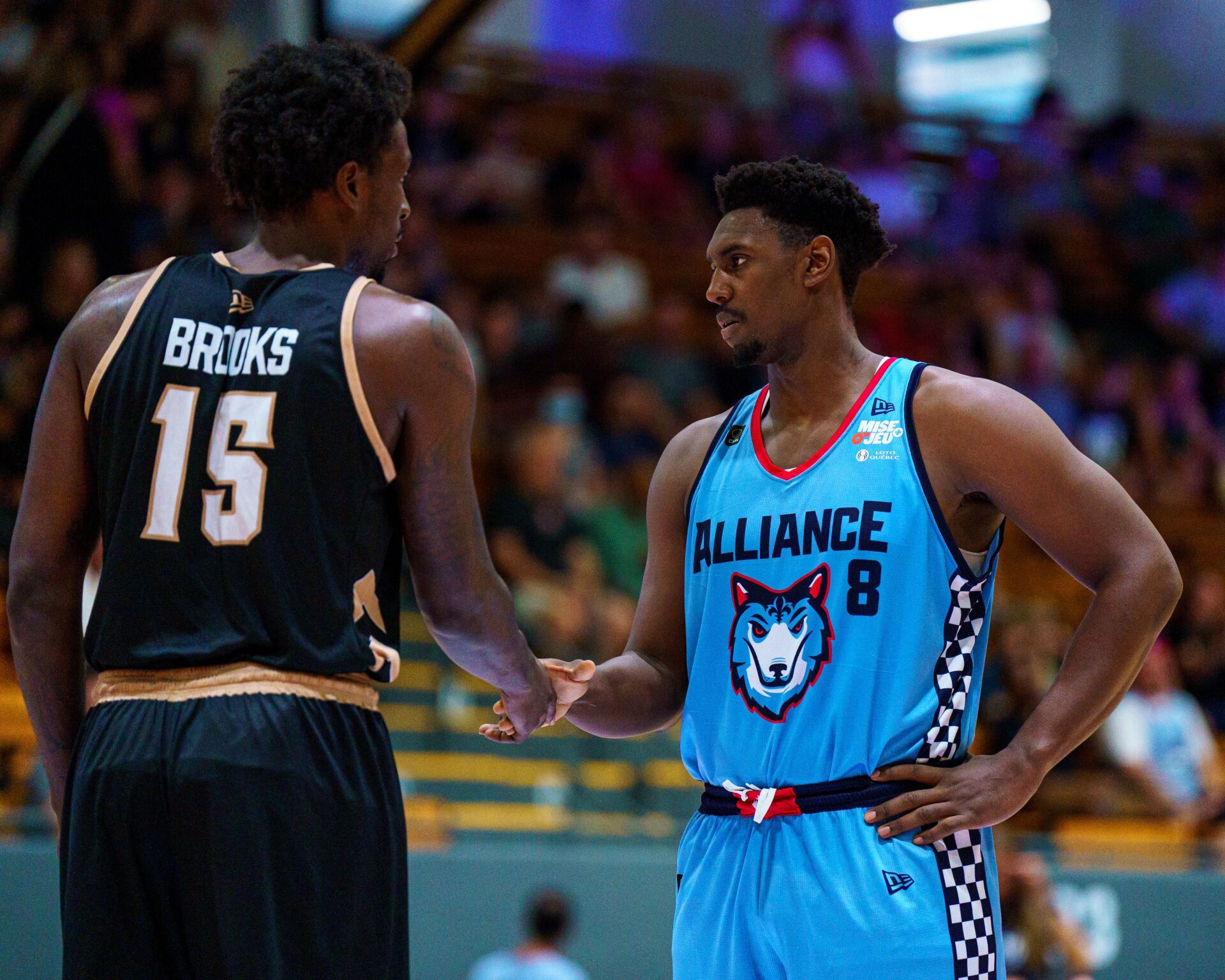 The Newfoundland Growlers Canadian Professional Basketball Team