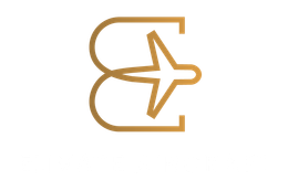 Elivate Aircraft Detailing Logo