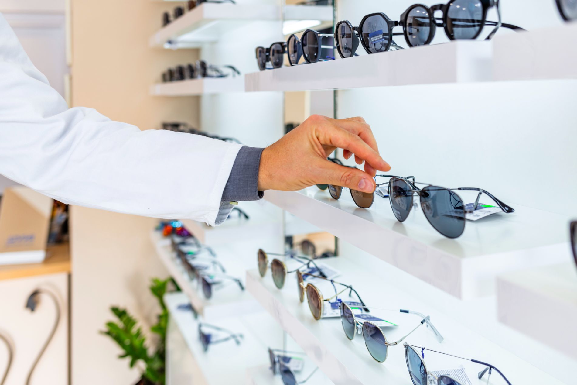 vasta collezione di montature