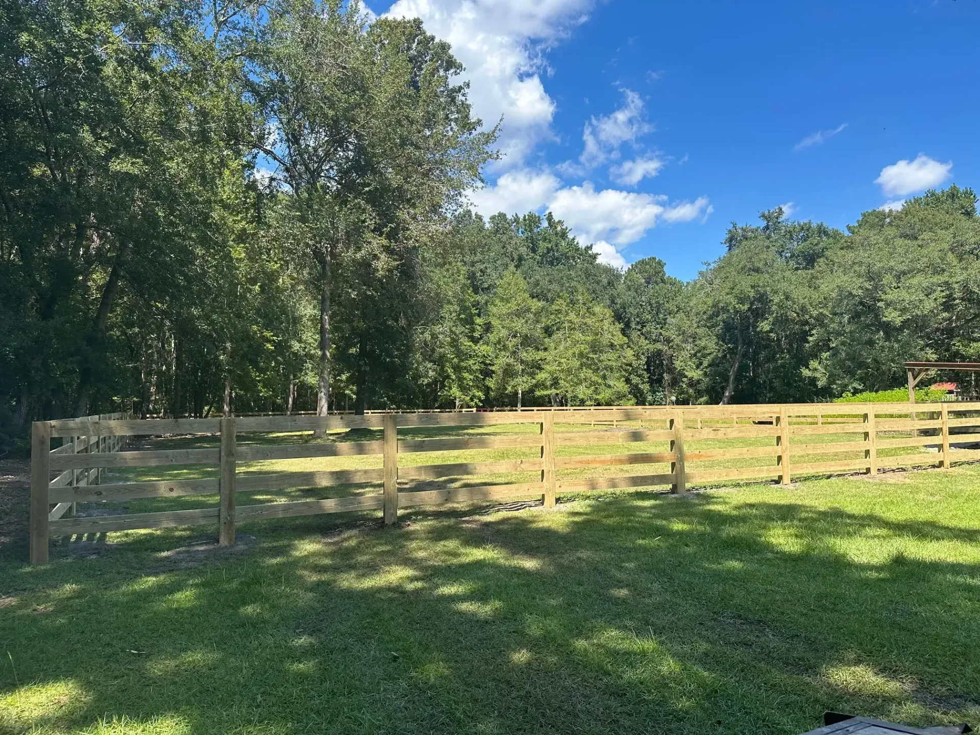 A grassy field enclosed by a wooden fence, with trees in the background under a blue sky.