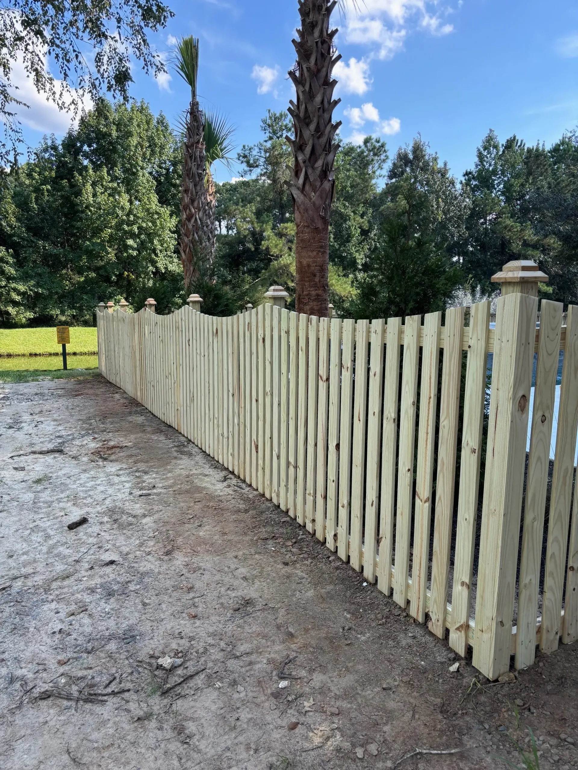 Wooden fence with a wavy top, in a grassy setting, with palm trees and a blue sky.