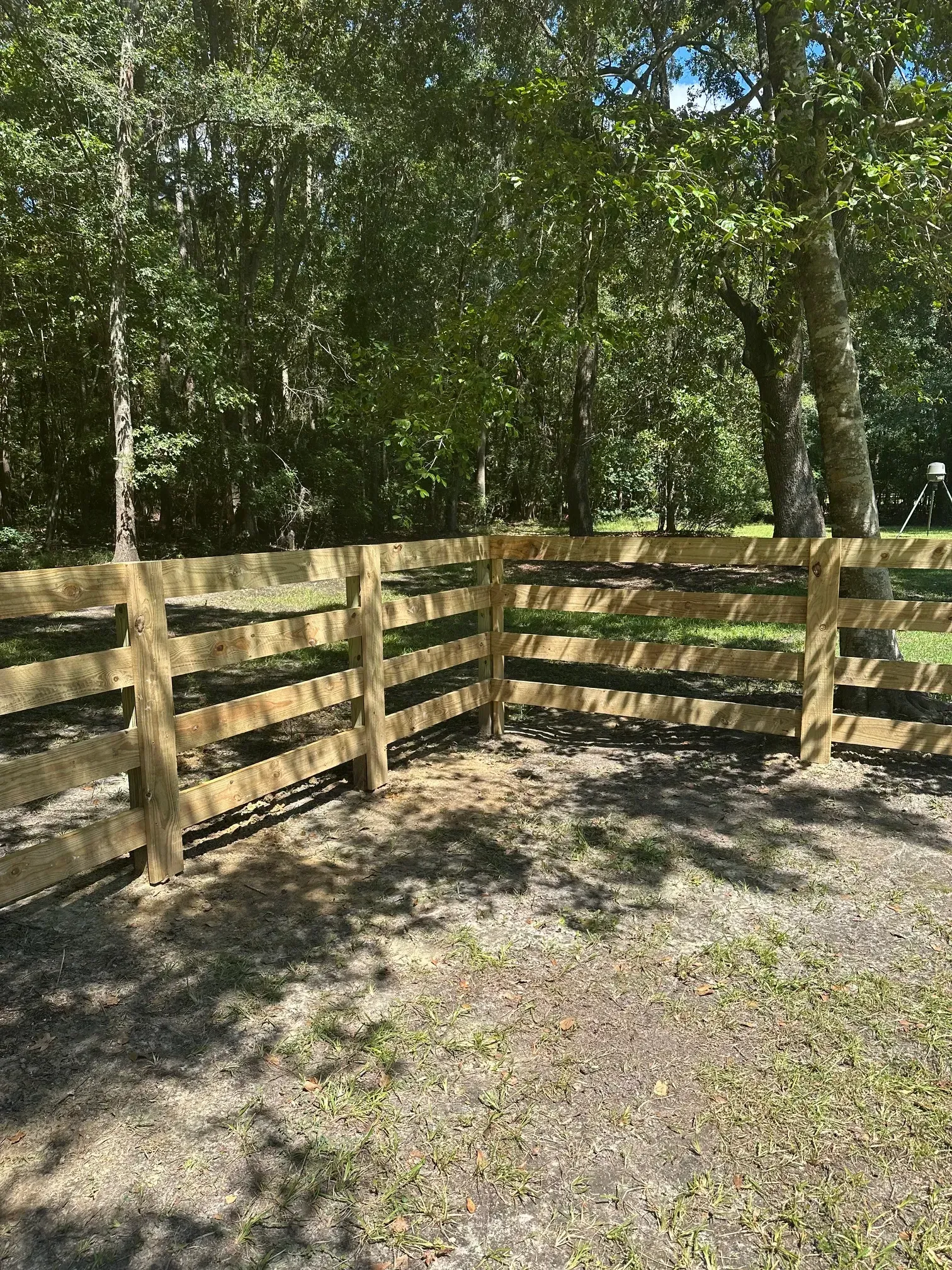 Wooden split-rail fence in a sunny outdoor setting with trees in the background.