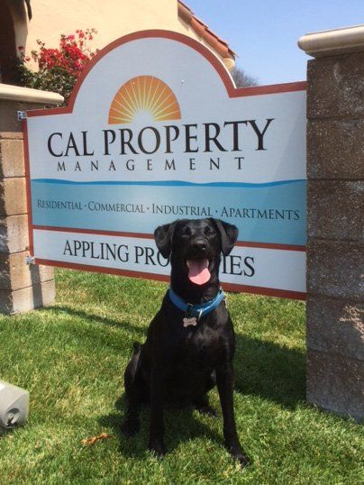 Maxxy the CAL Property Management mascot