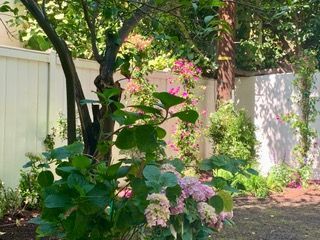Landscaped front yard with large rocks, succulents, and a curving flowering stalk.