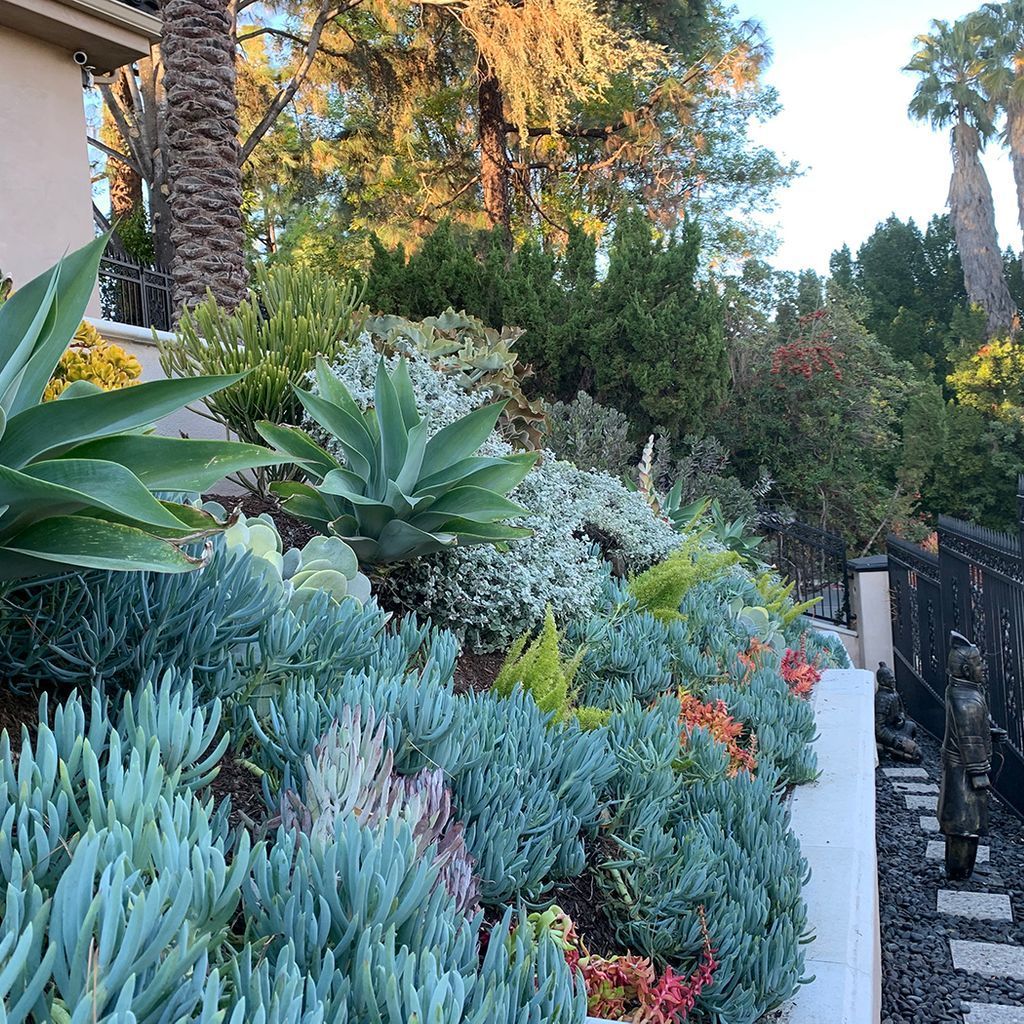 A lush, green garden with pink flowers in front of a building.