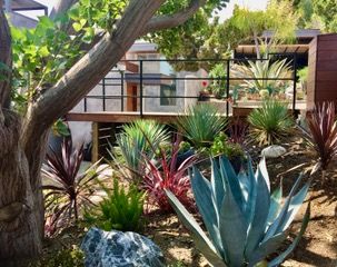 Succulent garden on a hillside with concrete retaining walls.