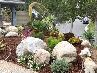 Succulent-filled planters in front of a hillside garden with various greenery. 