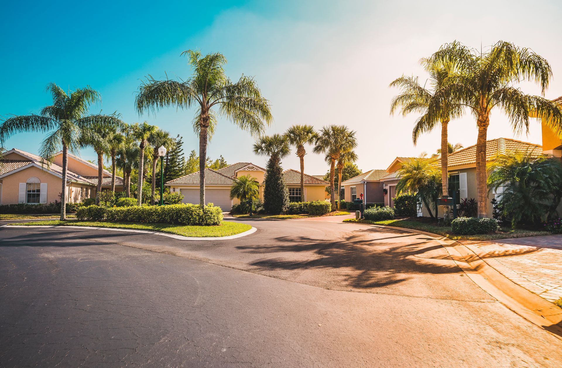 A residential area with palm trees and houses on a sunny day