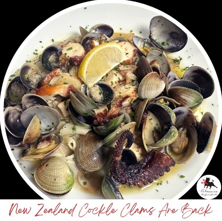 New Zealand Cockle Clams