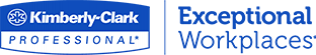 Kimberly Clark Professional