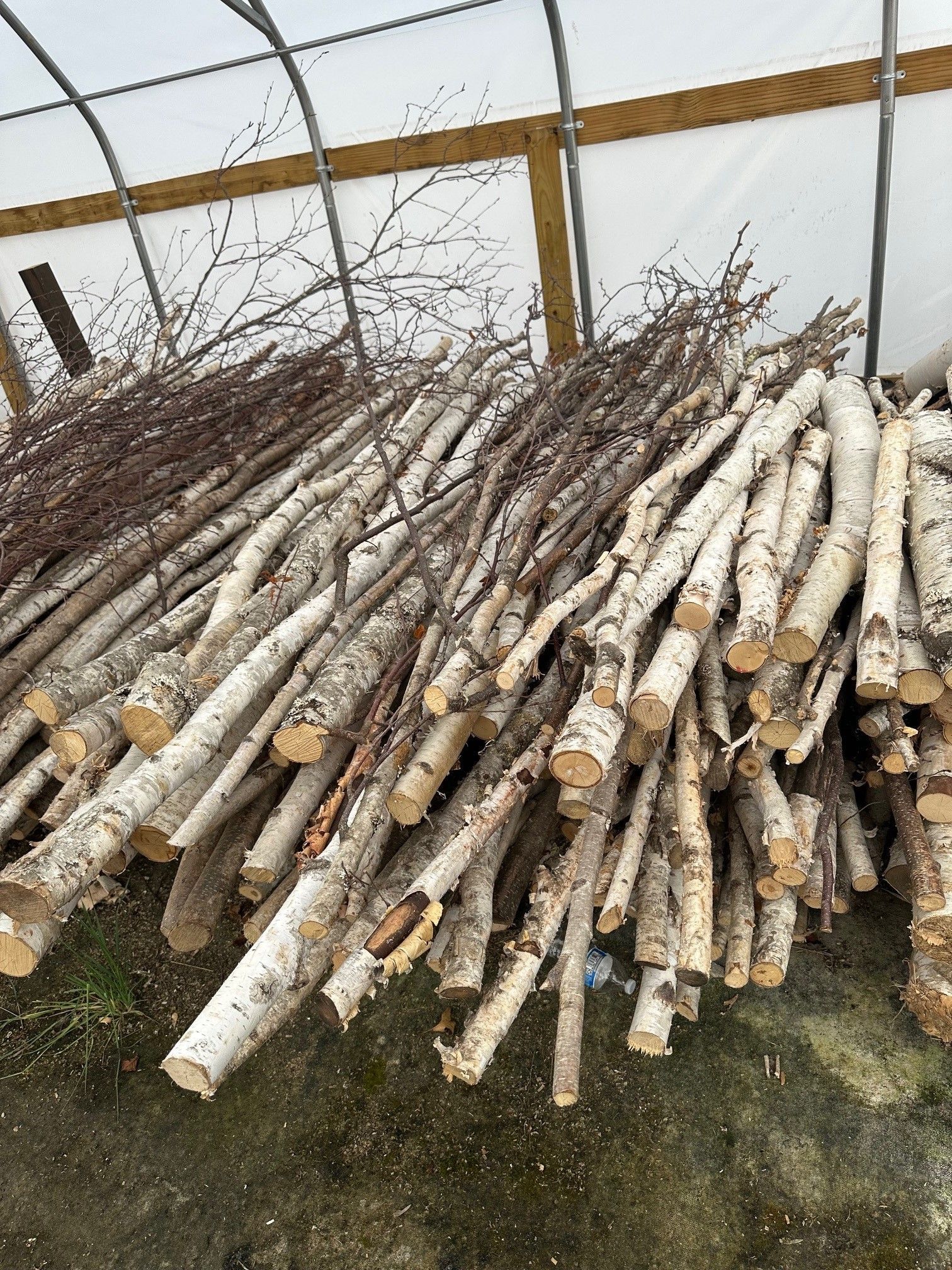 A pile of logs is sitting in front of a greenhouse.