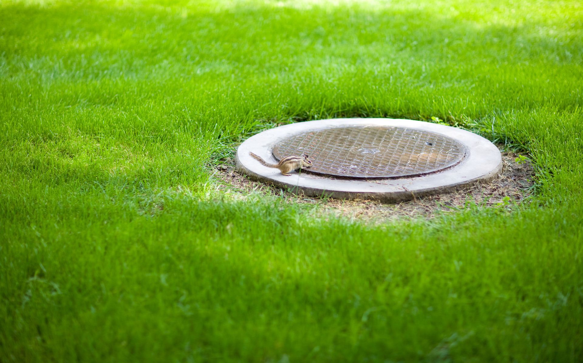 A Manhole Cover Is Sitting in The Middle of A Lush Green Field - Freedom, PA - Browns Outdoor Innovations