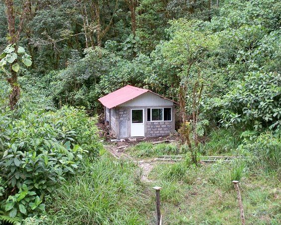 animal clinic