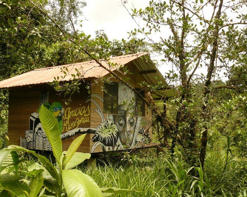 jungle cabin complete