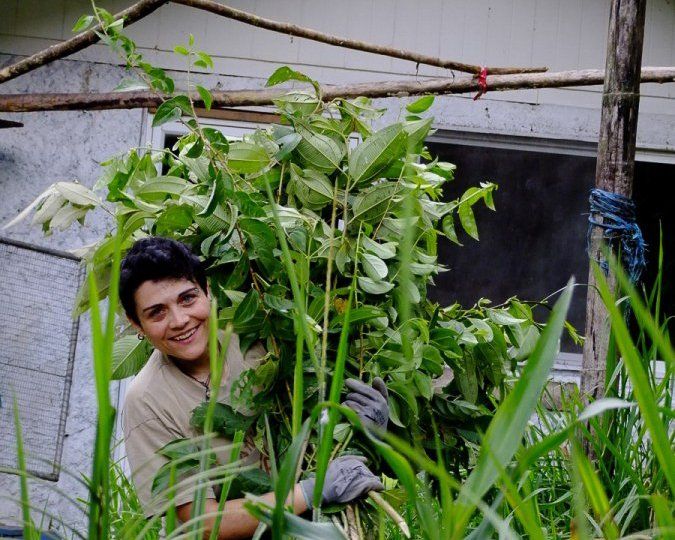 volunteer with leaves