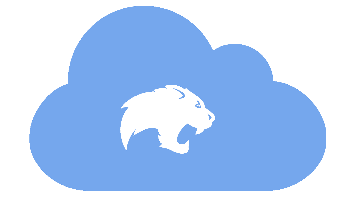a cat on a cloud