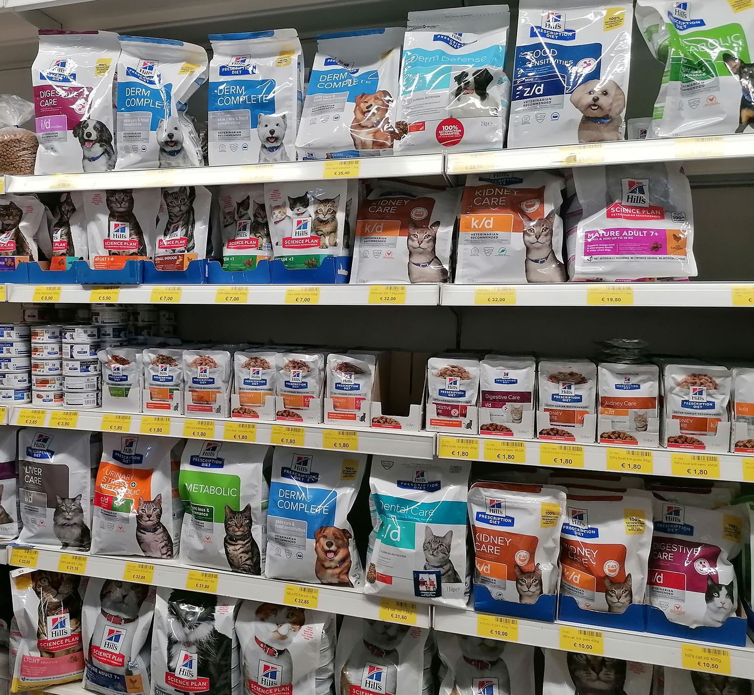 alimenti e accessori per gatti