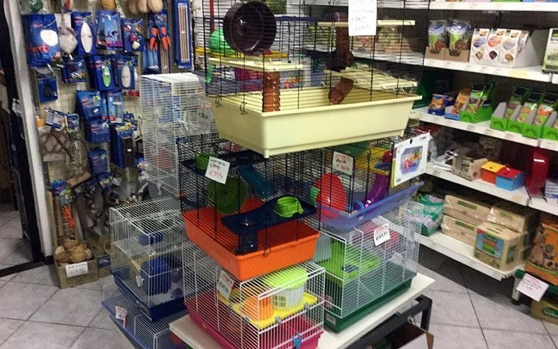 gabbia volatili roditori