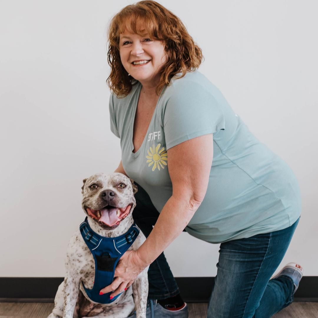 About Us Our Commitment to Veterinary Care Grant Vet Care