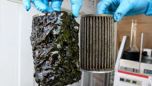 Diesel Bug Clogging Filters