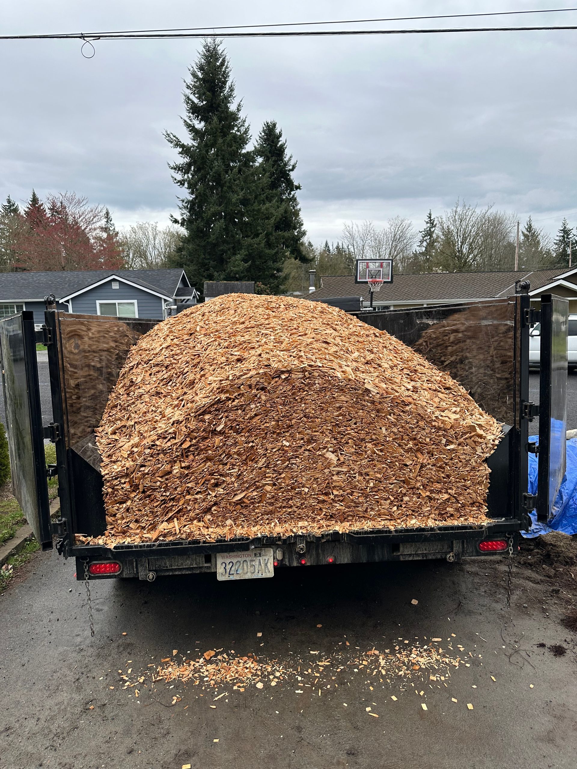 A pile of wood chips is sitting on the back of a truck.
