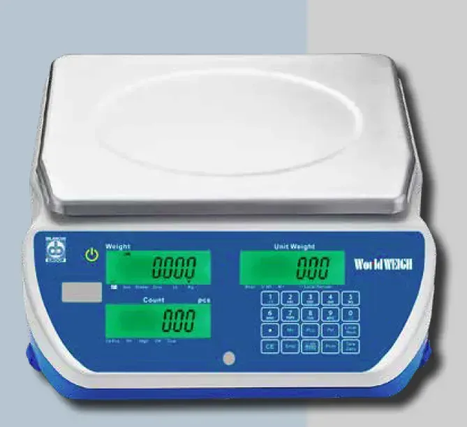 BILANCE DA BANCO BS100 BILANCIA COMPATTA DA BANCO PER USO INTERNO CON STAMPANTE (6 - 30 KG)