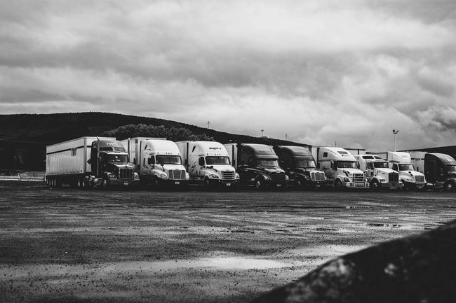 Trucks parked in a line at a rest stop on a cloudy day.