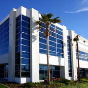 Family smiles inside a car, driving on a sunny day.
