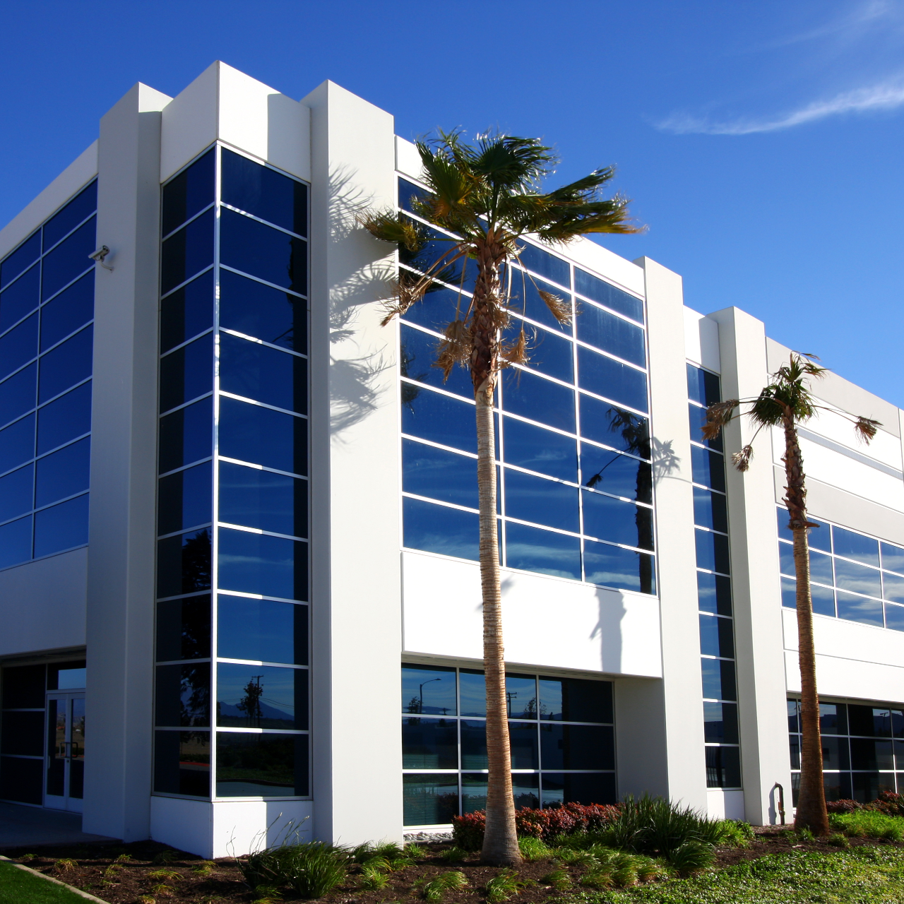 Family smiles inside a car, driving on a sunny day.