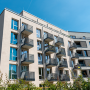 Family smiles inside a car, driving on a sunny day.