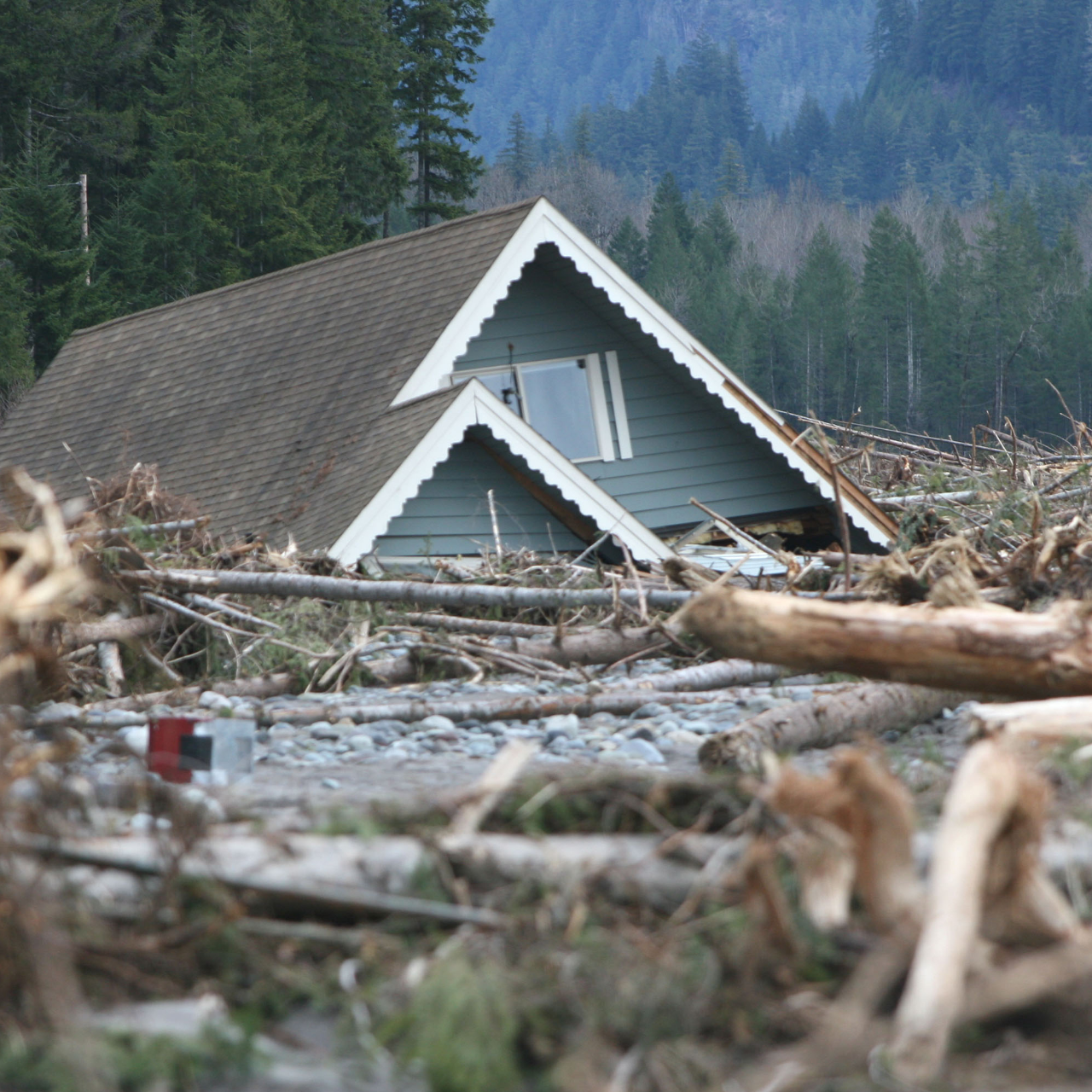 Family smiles inside a car, driving on a sunny day.