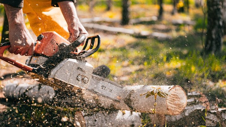 A person wearing yellow pants uses a chainsaw to cut a log in a forest, sending wood chips flying.