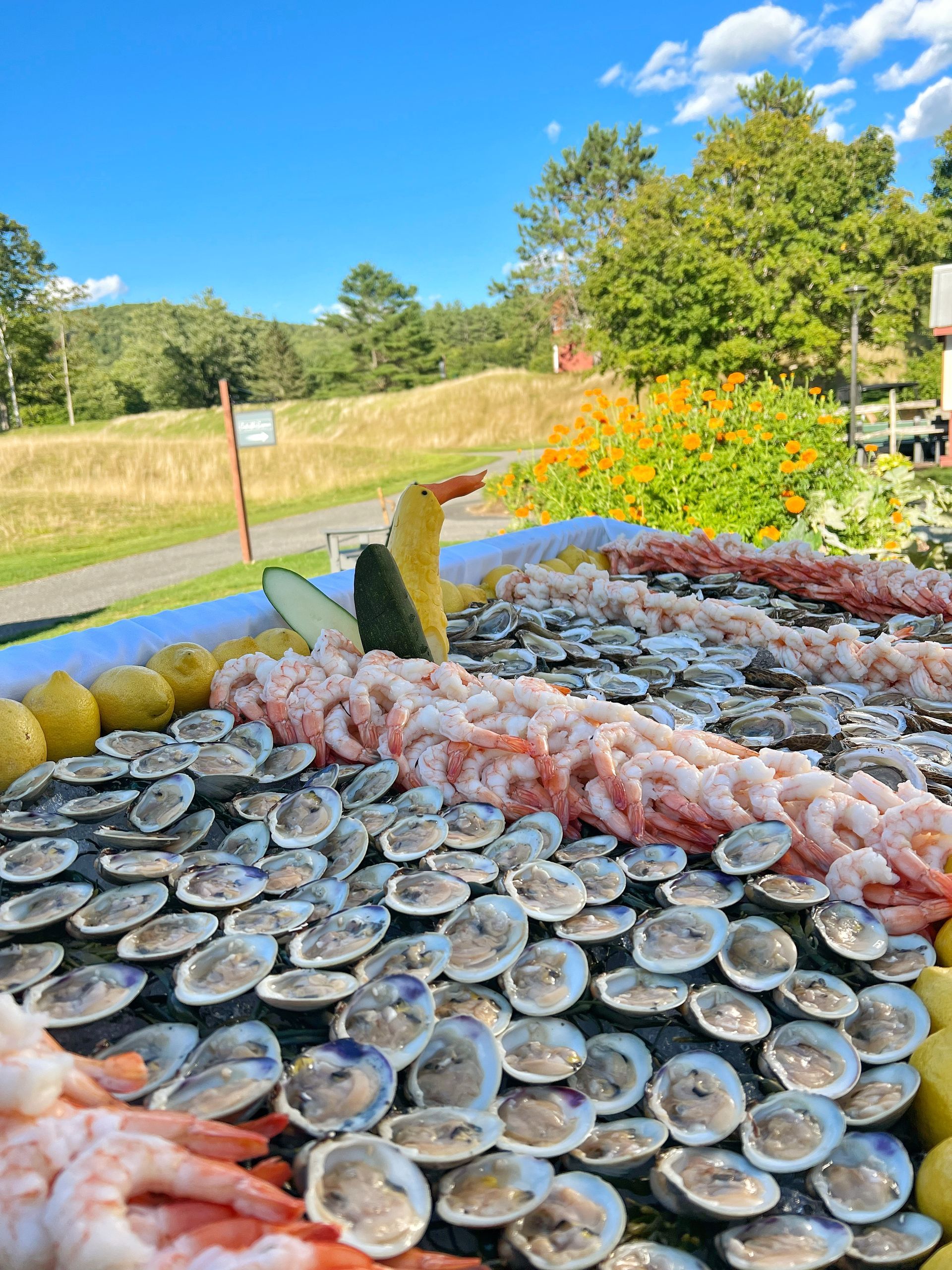 A table topped with oysters , shrimp , and lemons.