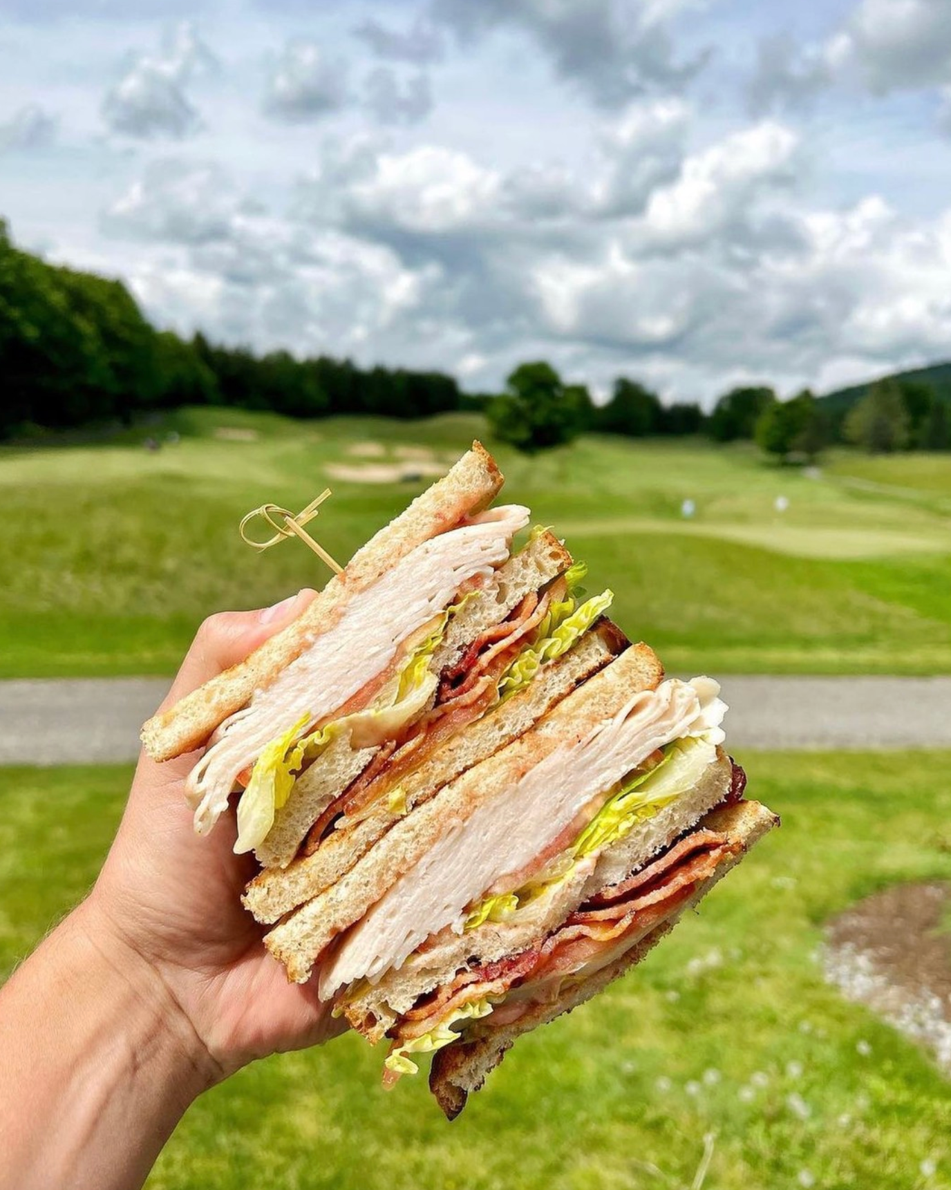 A person is holding a club sandwich in front of a golf course.