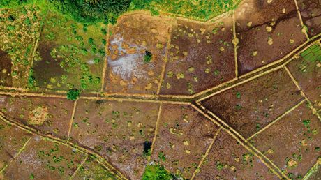 land surveyor