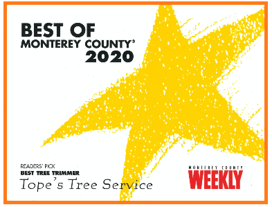 Best of Monterey County 2018 — Monterey, CA — Tope’s Tree Service