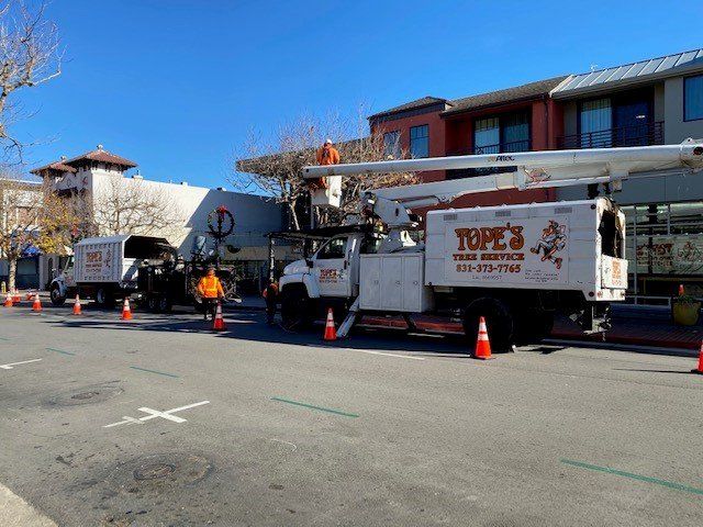 Two Tope's Tree Service trucks parked on a street with orange cones. Workers trim a tree with a lift in front of buildings.