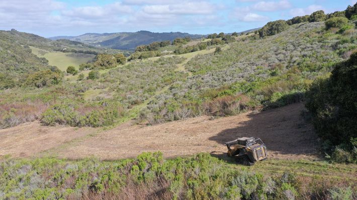 Open Field — Monterey, CA — Tope’s Tree Service