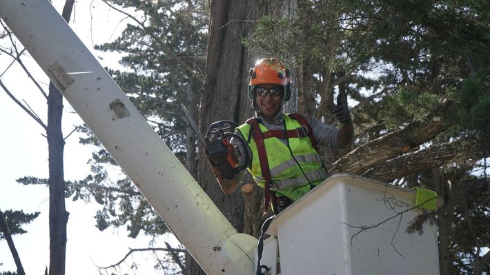 Man Holding A Chainsaw — Monterey, CA — Tope’s Tree Service