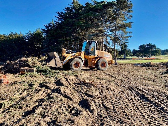 Yellow loader on dirt clearing, near trees on a sunny day.