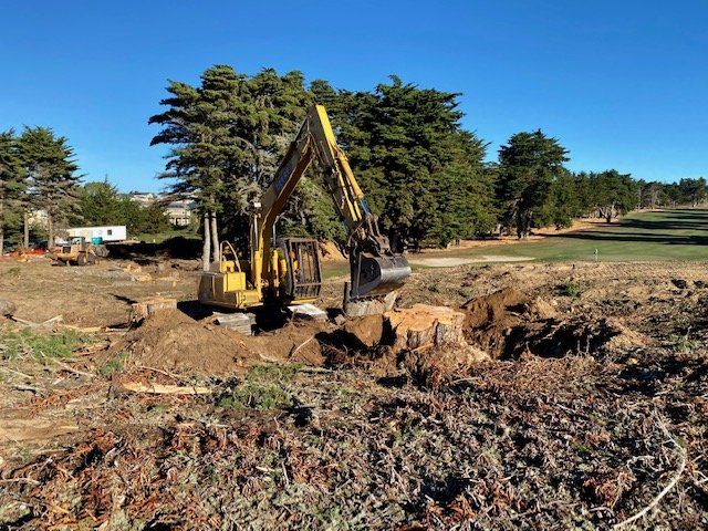 A yellow excavator digs a large hole on a golf course, removing a tree stump on a sunny day.