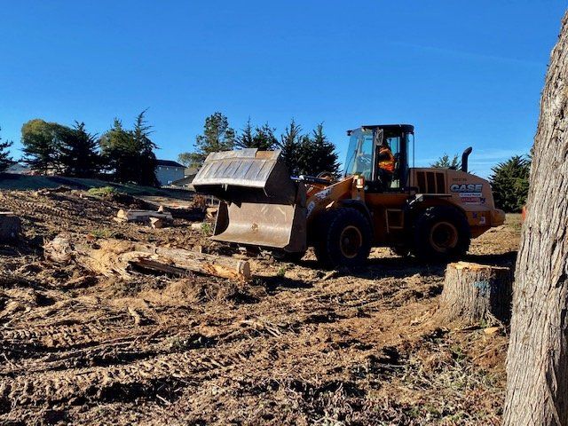 A Case loader clearing a dirt lot; blue sky.