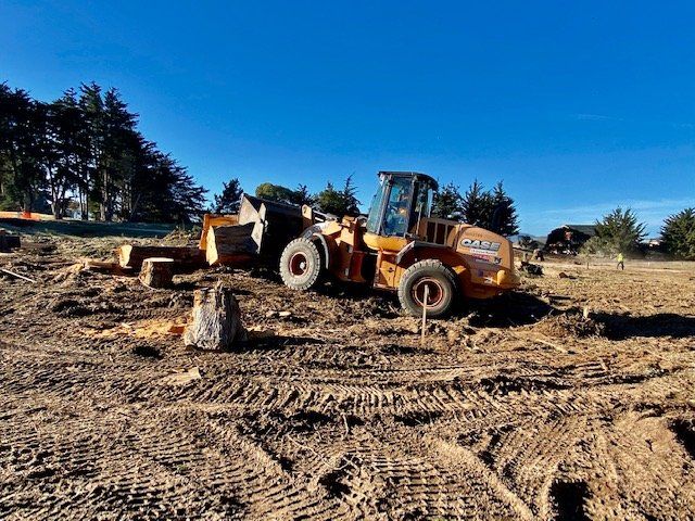 Orange Case wheel loader carrying logs in a cleared dirt field under a bright blue sky.